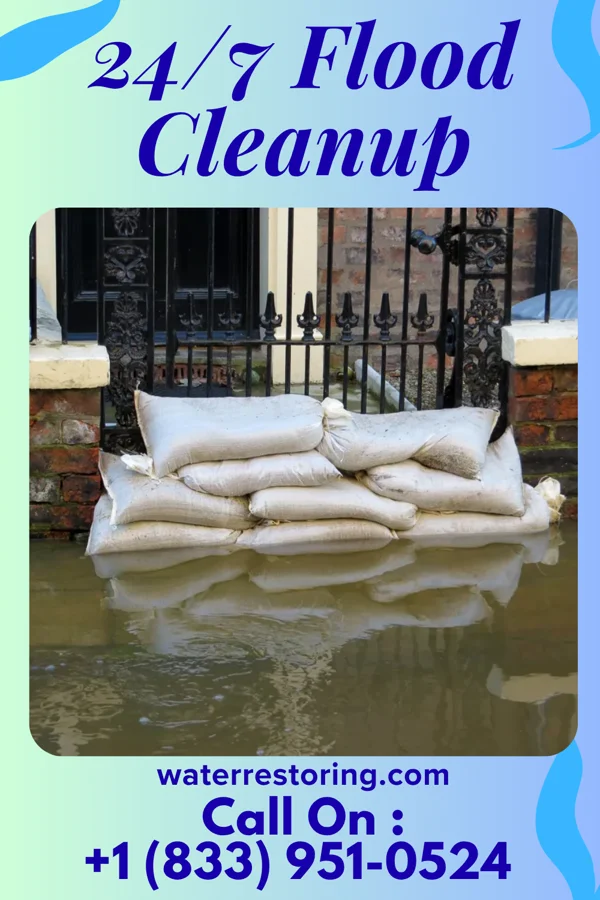 24/7 Flood Cleanup in Sadler, TX